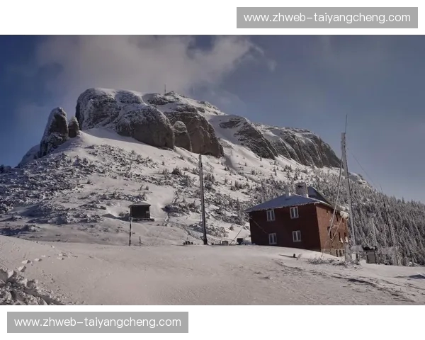喀尔巴阡之鹰对垒北欧海盗：当罗马尼亚的灵性遇上丹麦的坚韧